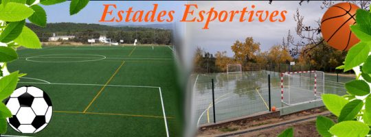Estades esportives