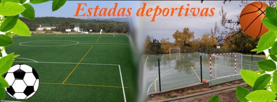 Estadas deportivas
